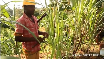 Pov Footage Of A Secret Tryst Between A Married Woman And Her Neighbor In A Rural Setting, Followed By A Public Outdoor Romp In The Heart Of An African Slum